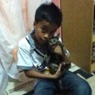 ariff
