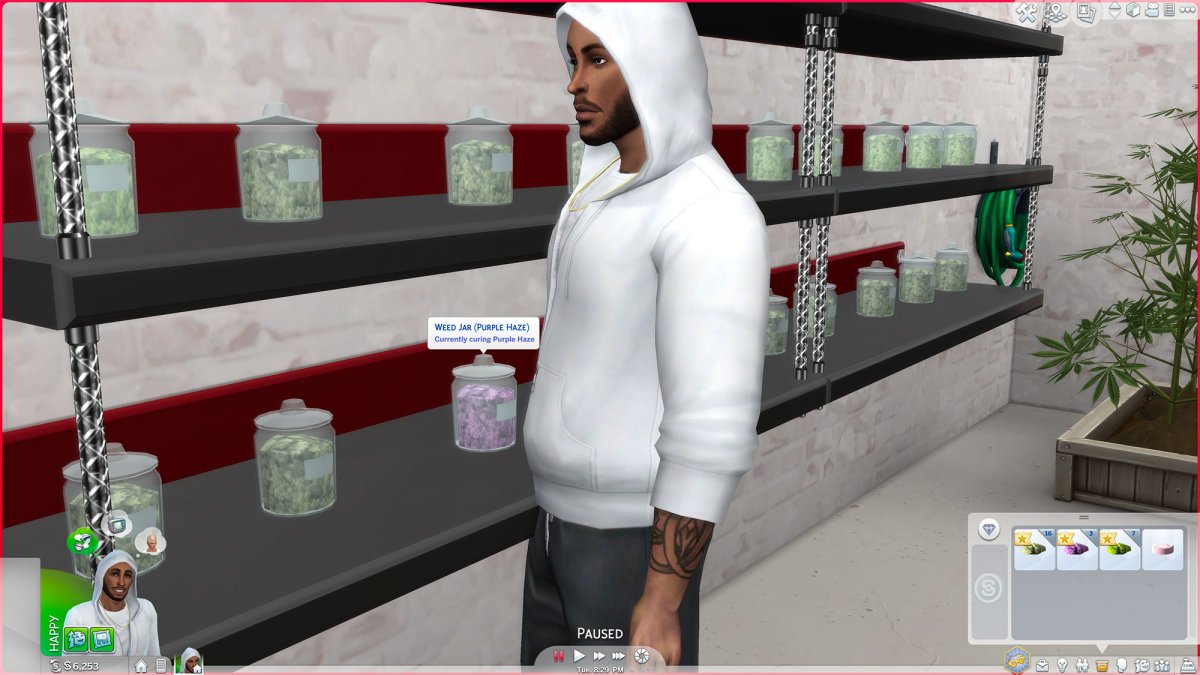 Sims 4 Basemental Mod Download / The mod features custom drugs, custom ...